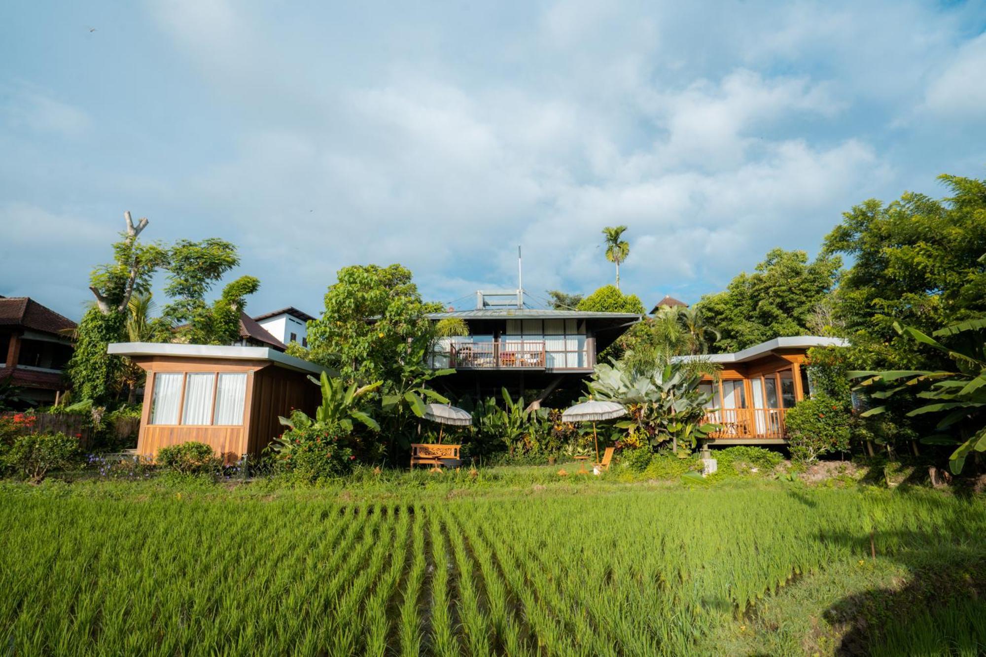 Gruen Ubud Esterno foto