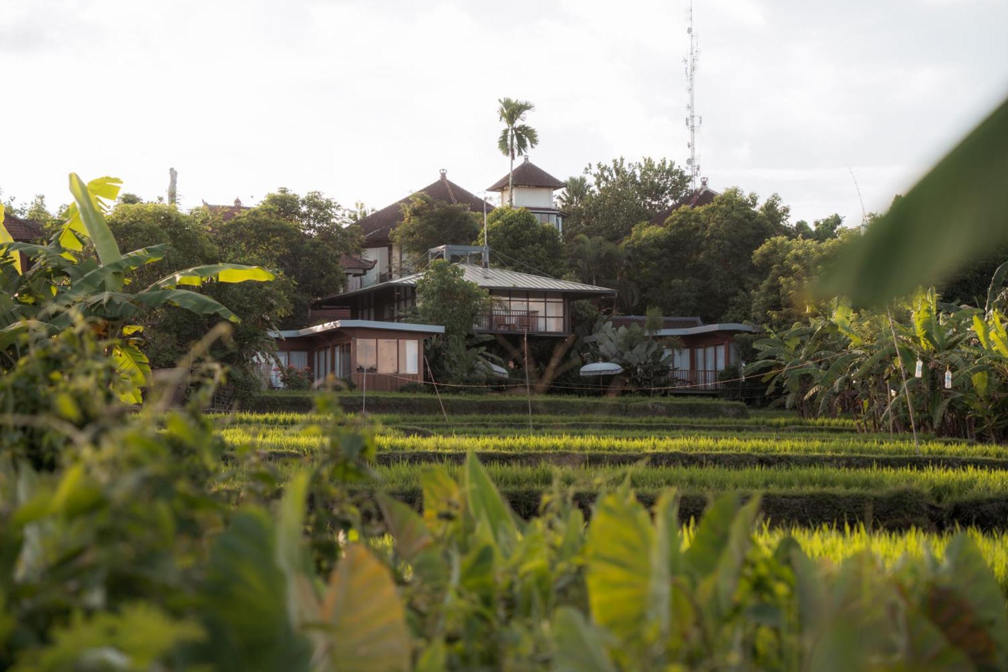 Gruen Ubud Esterno foto